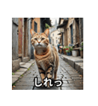 まったり猫だにゃん（個別スタンプ：30）