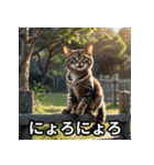 まったり猫だにゃん（個別スタンプ：35）