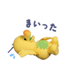 プーピとジョーイの日常会話編（個別スタンプ：10）