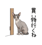 汎用コーニッシュレックススタンプ2（個別スタンプ：27）