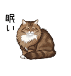 ノルウェージャンフォレストcatスタンプ2（個別スタンプ：1）