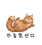 ノルウェージャンフォレストcatスタンプ2（個別スタンプ：4）