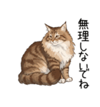 ノルウェージャンフォレストcatスタンプ2（個別スタンプ：7）