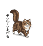 ノルウェージャンフォレストcatスタンプ2（個別スタンプ：15）