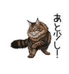 ノルウェージャンフォレストcatスタンプ2（個別スタンプ：17）