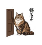 ノルウェージャンフォレストcatスタンプ2（個別スタンプ：19）