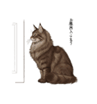 ノルウェージャンフォレストcatスタンプ2（個別スタンプ：22）
