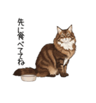 ノルウェージャンフォレストcatスタンプ2（個別スタンプ：23）