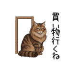 ノルウェージャンフォレストcatスタンプ2（個別スタンプ：27）