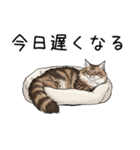 ノルウェージャンフォレストcatスタンプ2（個別スタンプ：30）