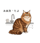 ノルウェージャンフォレストcatスタンプ2（個別スタンプ：35）