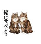 ノルウェージャンフォレストcatスタンプ2（個別スタンプ：37）