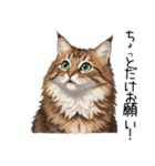 ノルウェージャンフォレストcatスタンプ2（個別スタンプ：40）