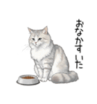 汎用シムリックスタンプ2（個別スタンプ：2）