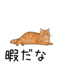 汎用シムリックスタンプ2（個別スタンプ：3）