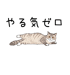 汎用シムリックスタンプ2（個別スタンプ：4）