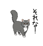 汎用シムリックスタンプ2（個別スタンプ：9）