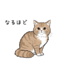 汎用シムリックスタンプ2（個別スタンプ：10）