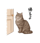 汎用シムリックスタンプ2（個別スタンプ：19）