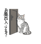 汎用シムリックスタンプ2（個別スタンプ：22）