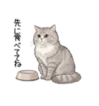 汎用シムリックスタンプ2（個別スタンプ：23）
