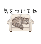 汎用シムリックスタンプ2（個別スタンプ：29）