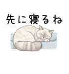 汎用シムリックスタンプ2（個別スタンプ：34）