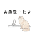 汎用シムリックスタンプ2（個別スタンプ：35）