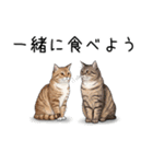 汎用シムリックスタンプ2（個別スタンプ：37）