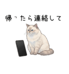 汎用シムリックスタンプ2（個別スタンプ：39）