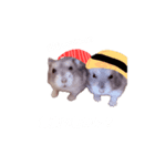 にゃんと！？はむはむ！（個別スタンプ：1）