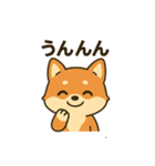 ♡しばまるのひとこと♡（個別スタンプ：4）
