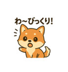 ♡しばまるのひとこと♡（個別スタンプ：5）