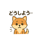 ♡しばまるのひとこと♡（個別スタンプ：8）