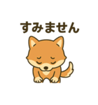 ♡しばまるのひとこと♡（個別スタンプ：12）