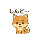 ♡しばまるのひとこと♡（個別スタンプ：14）