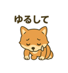 ♡しばまるのひとこと♡（個別スタンプ：15）