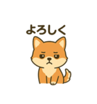 ♡しばまるのひとこと♡（個別スタンプ：25）