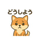 ♡しばまるのひとこと♡（個別スタンプ：30）