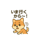 ♡しばまるのひとこと♡（個別スタンプ：33）