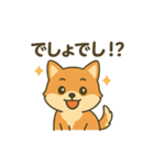 ♡しばまるのひとこと♡（個別スタンプ：37）
