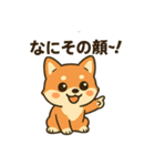 ♡しばまるのひとこと2♡（個別スタンプ：1）