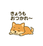 ♡しばまるのひとこと2♡（個別スタンプ：3）