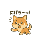 ♡しばまるのひとこと2♡（個別スタンプ：4）