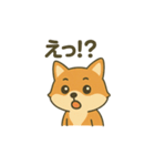 ♡しばまるのひとこと2♡（個別スタンプ：6）