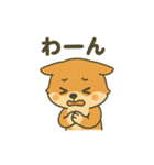 ♡しばまるのひとこと2♡（個別スタンプ：7）