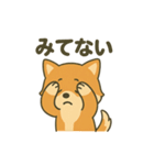 ♡しばまるのひとこと2♡（個別スタンプ：8）