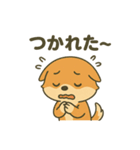♡しばまるのひとこと2♡（個別スタンプ：9）