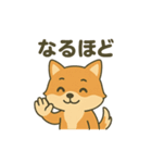 ♡しばまるのひとこと2♡（個別スタンプ：12）