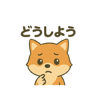 ♡しばまるのひとこと2♡（個別スタンプ：13）